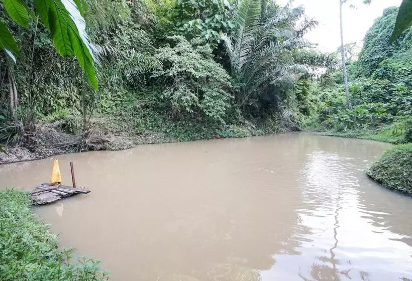 Majatalo Villa Robert