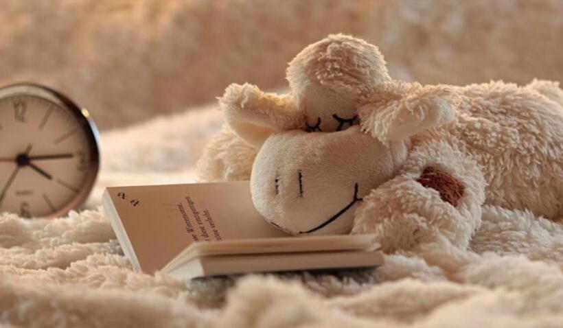 פנסיון Penzion A Restaurace U Sousedů