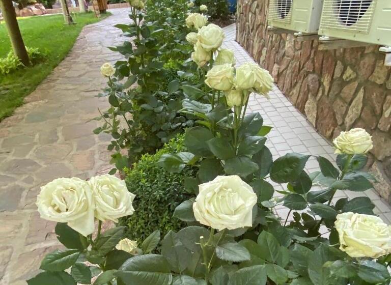 旅馆 Green Canyon Uzbekistan