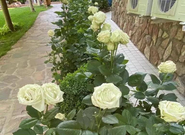 ユースホステル Green Canyon Uzbekistan