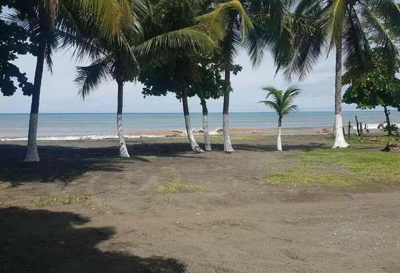 ユースホステル Sunrise Inn