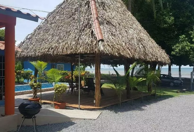 ユースホステル Sunrise Inn