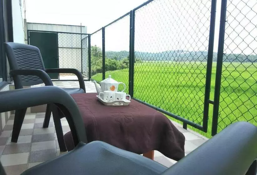 ベッドアンドブレックファースト Paddyfield Inn