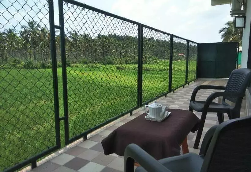 ベッドアンドブレックファースト Paddyfield Inn
