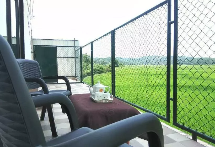 ベッドアンドブレックファースト Paddyfield Inn