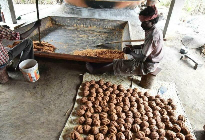 فندق Kadampil Bliss