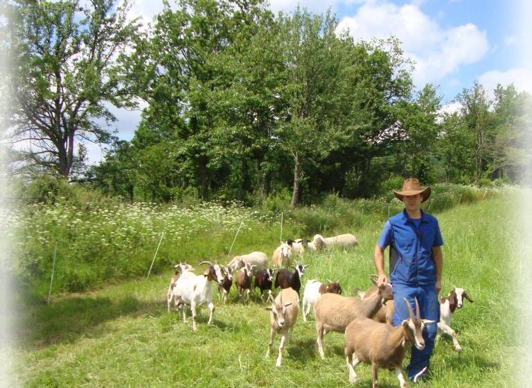 בית מלון כפרי Landgasthof Und Pension Zum Löwen