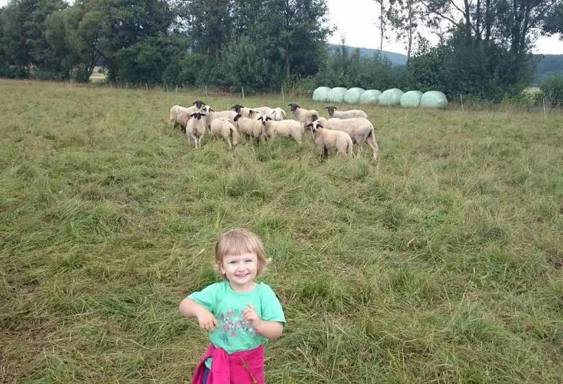 Hotelli Landgasthof Und Pension Zum Löwen
