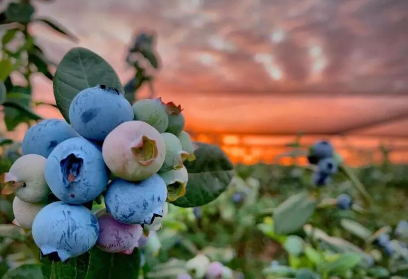 Hotelli Mundubbera Billabong Motor Inn