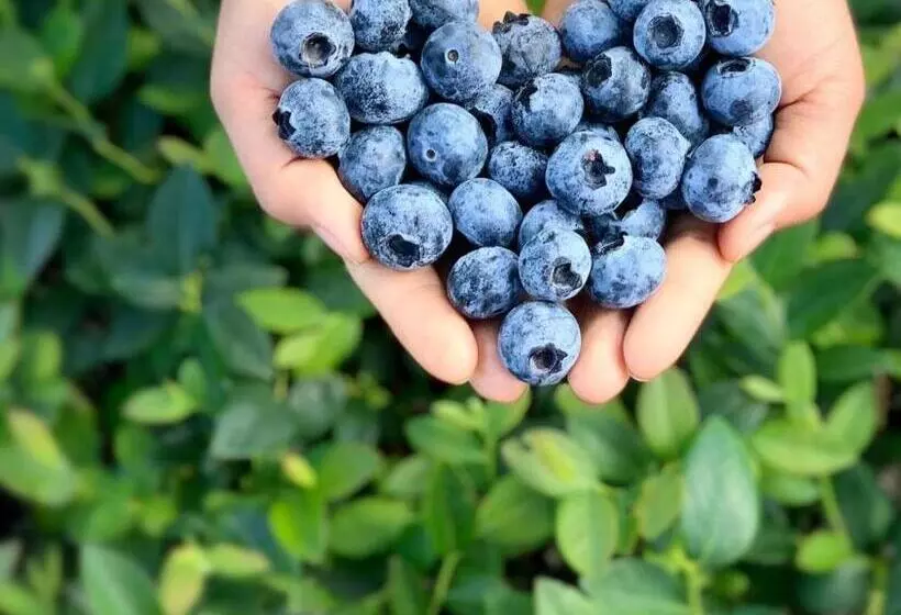 Hotelli Mundubbera Billabong Motor Inn