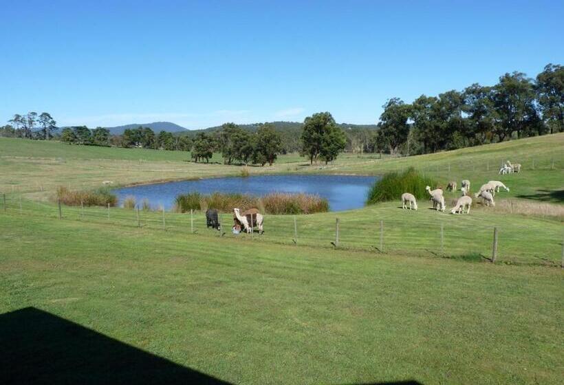 ホテル Raynella Alpaca Farmstay