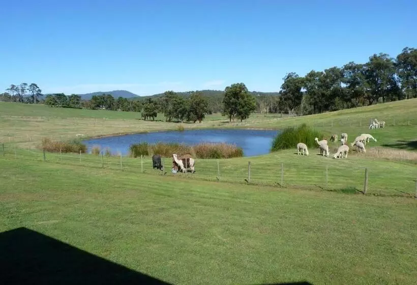 Hotelli Raynella Alpaca Farmstay