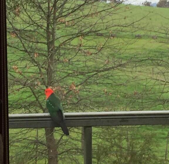 ホテル Raynella Alpaca Farmstay