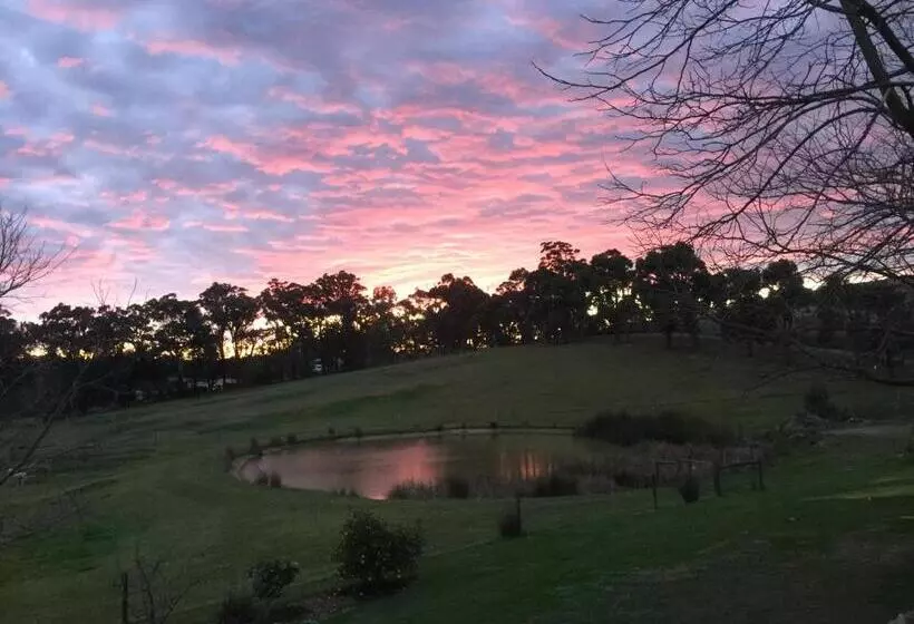 Hotelli Raynella Alpaca Farmstay