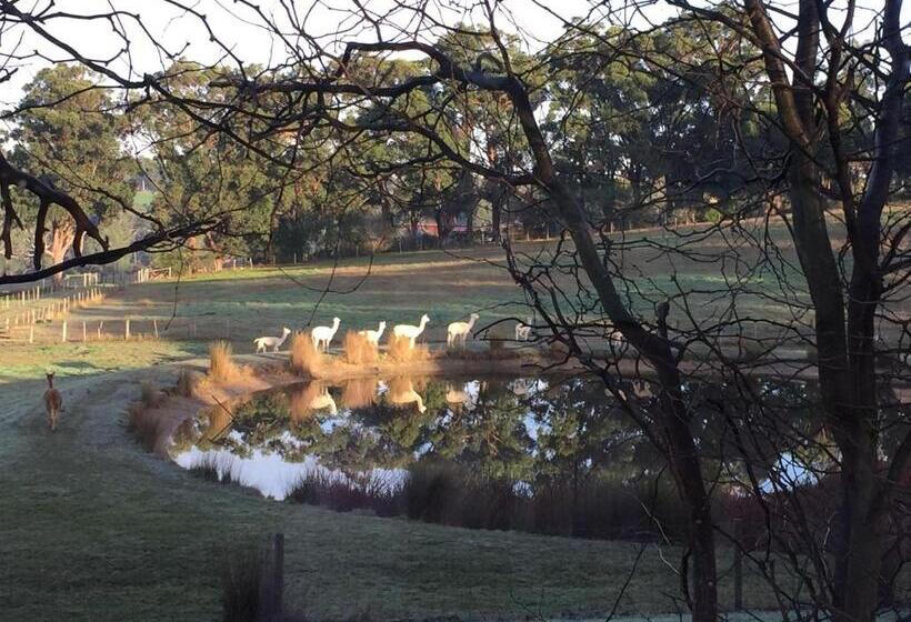 ホテル Raynella Alpaca Farmstay