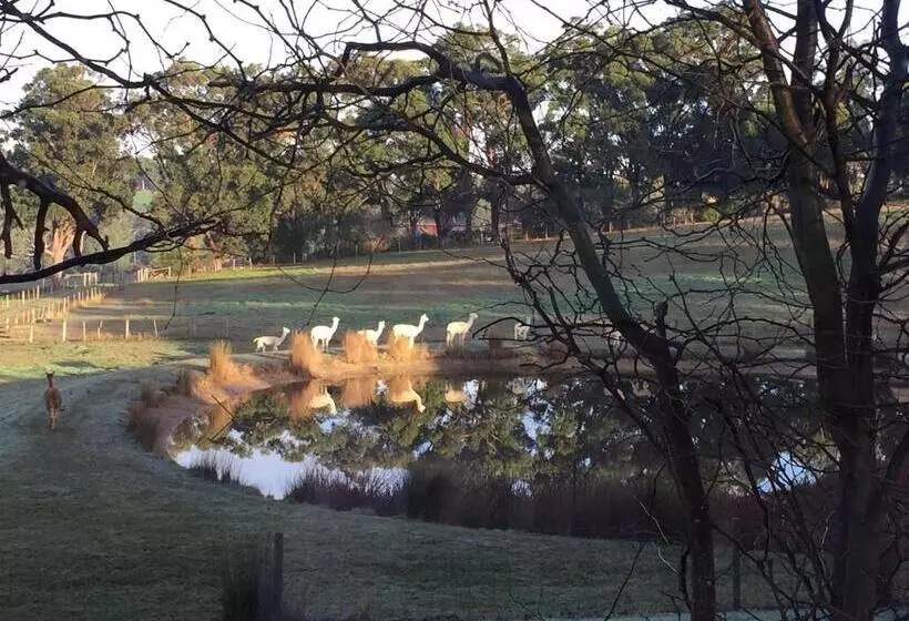 Hotelli Raynella Alpaca Farmstay