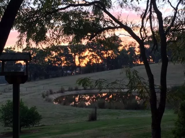 Hotelli Raynella Alpaca Farmstay