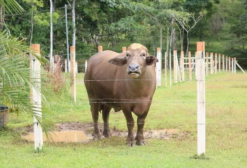 Hotelli Sueñoreal Rioceleste