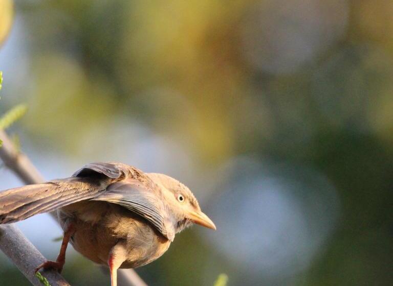 هتل Villa Nilmalee