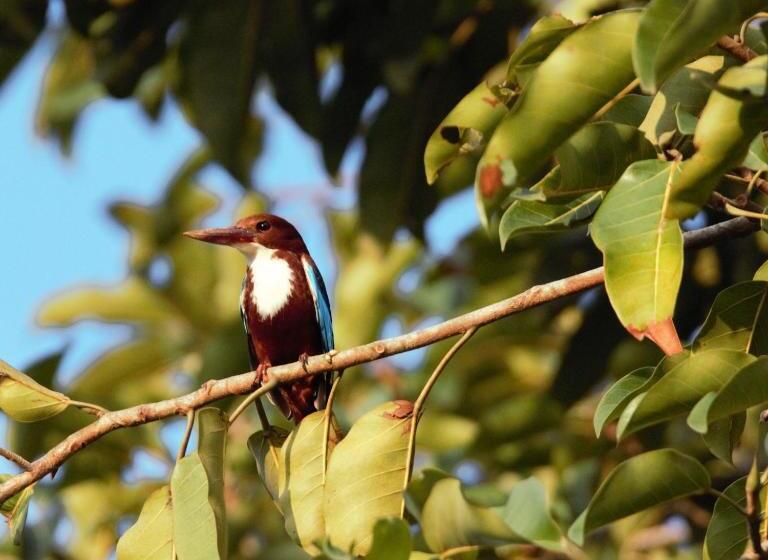 هتل Villa Nilmalee