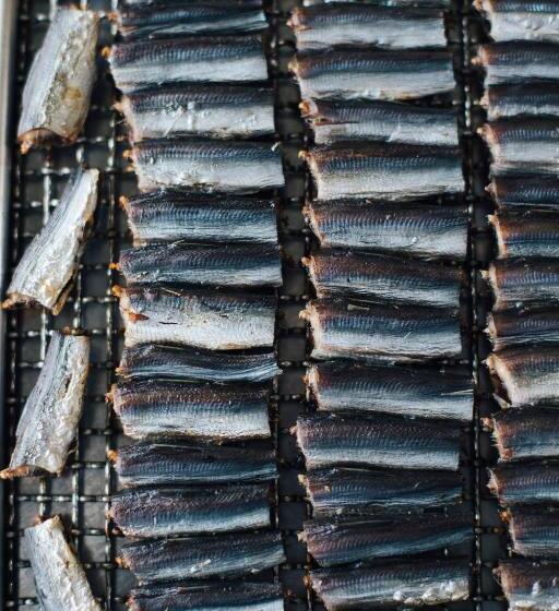 Iwashi Building Hostel