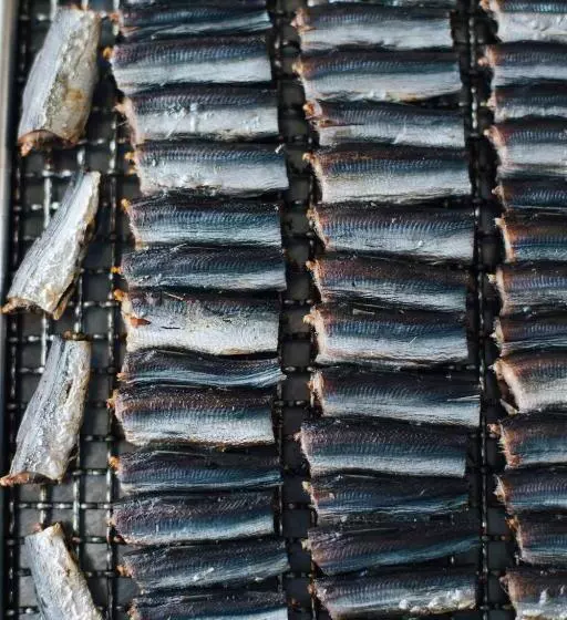 Iwashi Building Hostel