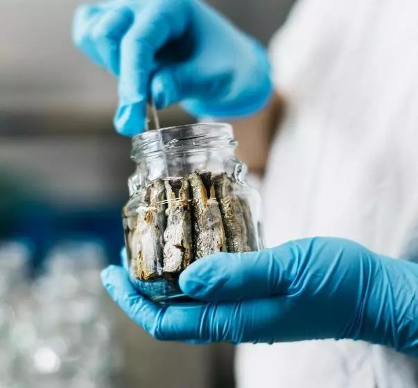 Iwashi Building Hostel