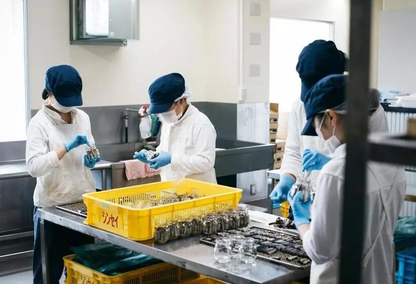 Iwashi Building Hostel