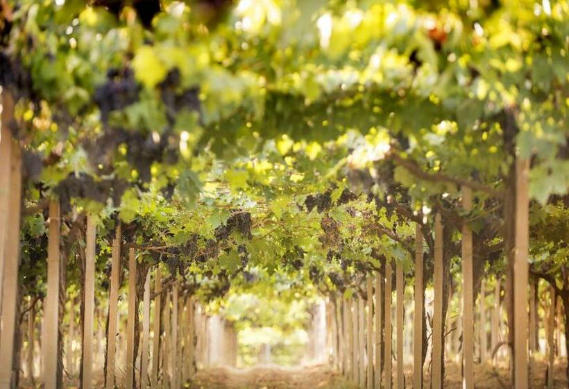 펜션 Baldovino B&b