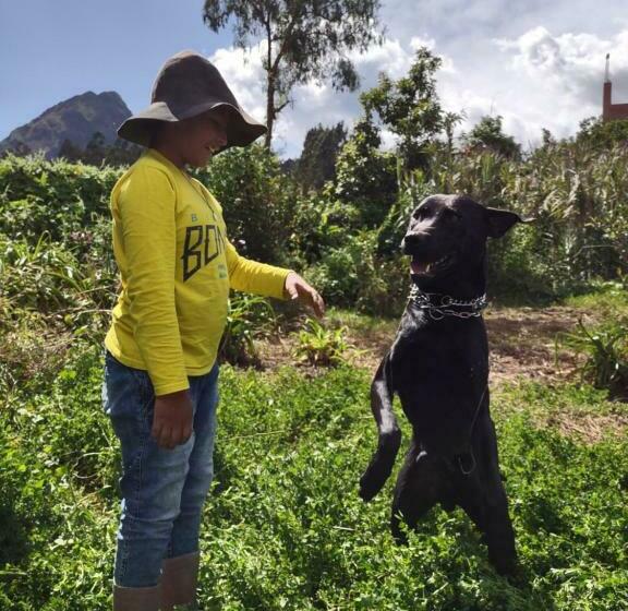 Pension Casona Mollepata