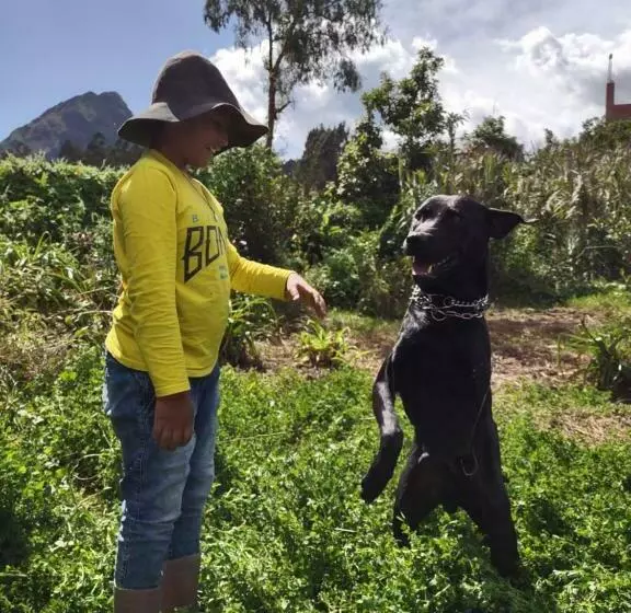 Majatalo Casona Mollepata