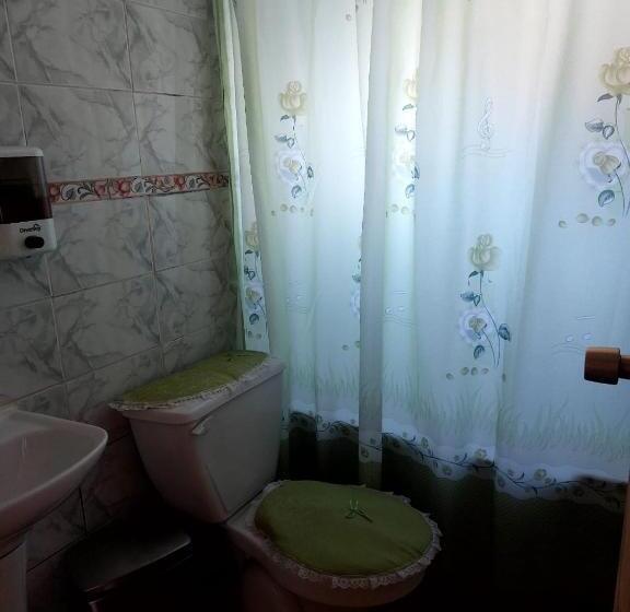 פנסיון Hostal Y Cabañas Ventisquero