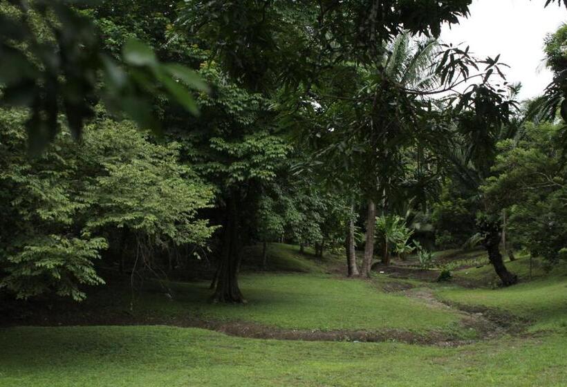 بنسيون Hostel Guayacan