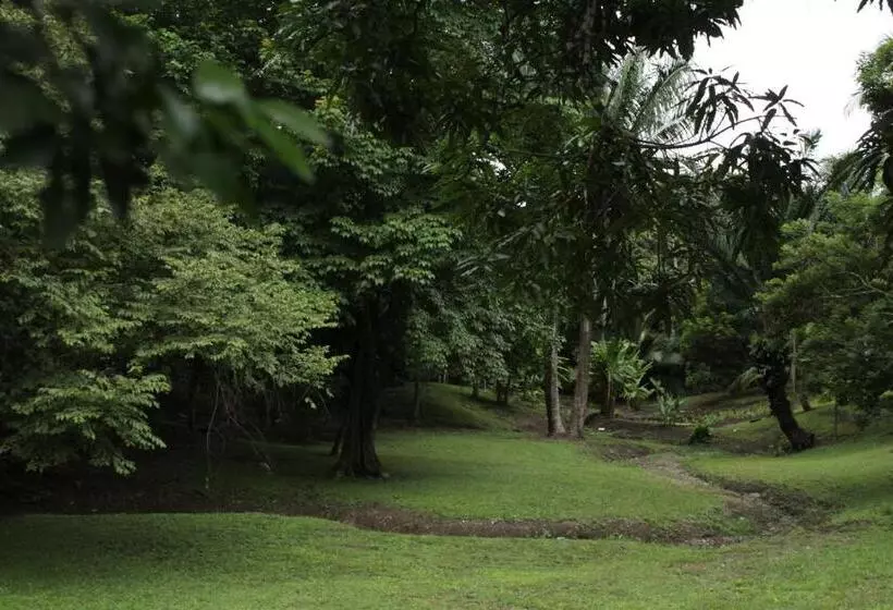 ペンション Hostel Guayacan