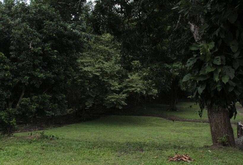 بنسيون Hostel Guayacan