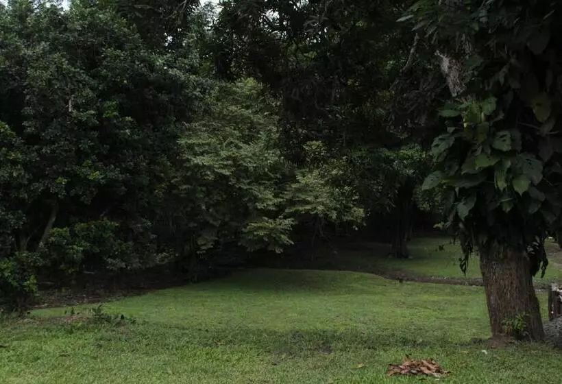 ペンション Hostel Guayacan