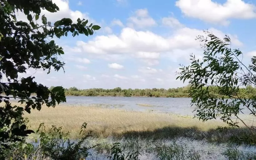 Majatalo Sugamya Farm Guesthouse