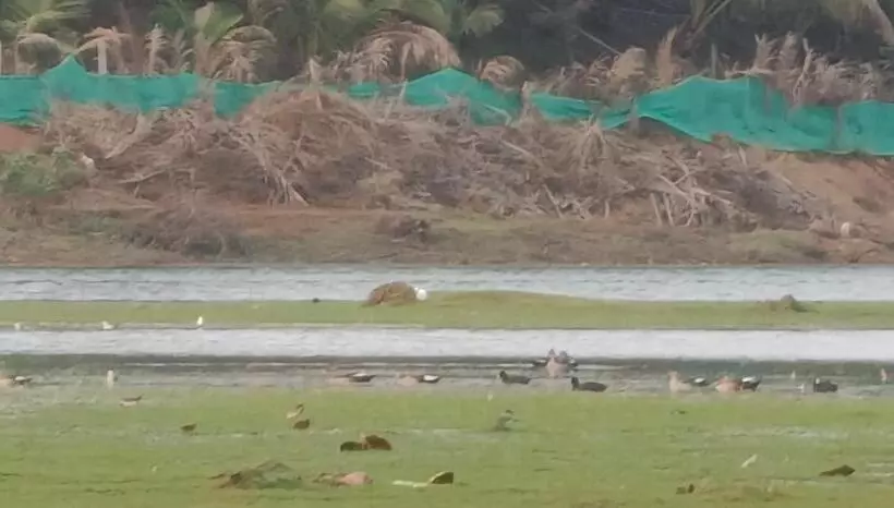 Majatalo Sugamya Farm Guesthouse