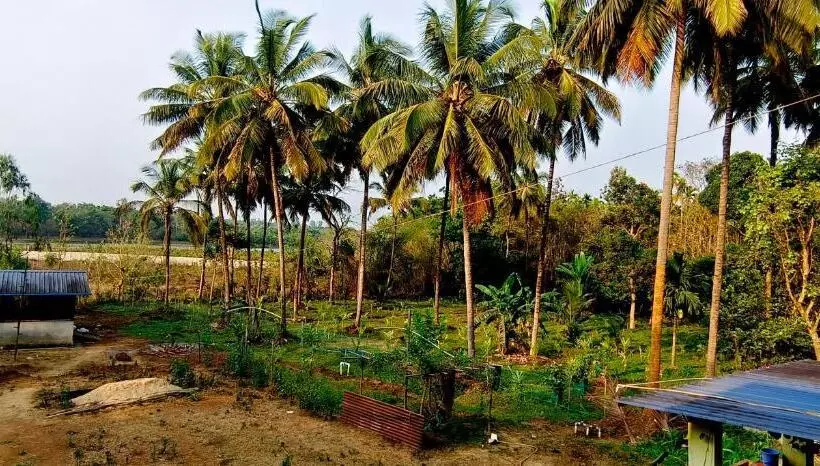 Majatalo Sugamya Farm Guesthouse