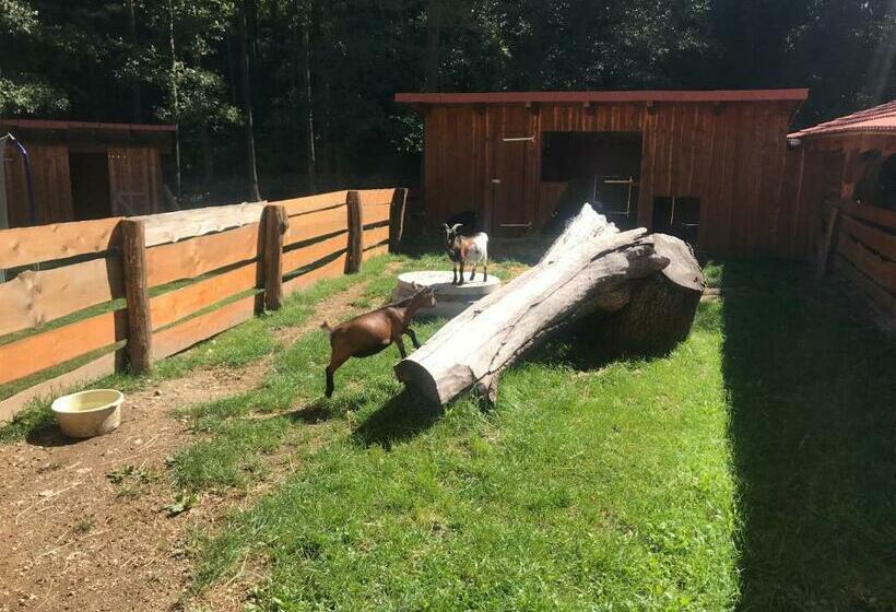 膳宿费 Zevlův Mlýn