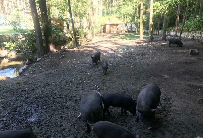 膳宿费 Zevlův Mlýn