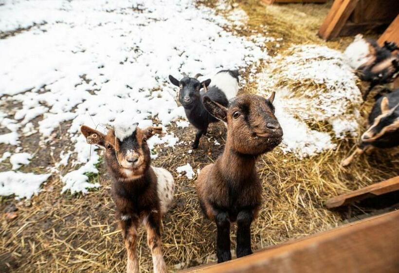 膳宿费 Zevlův Mlýn