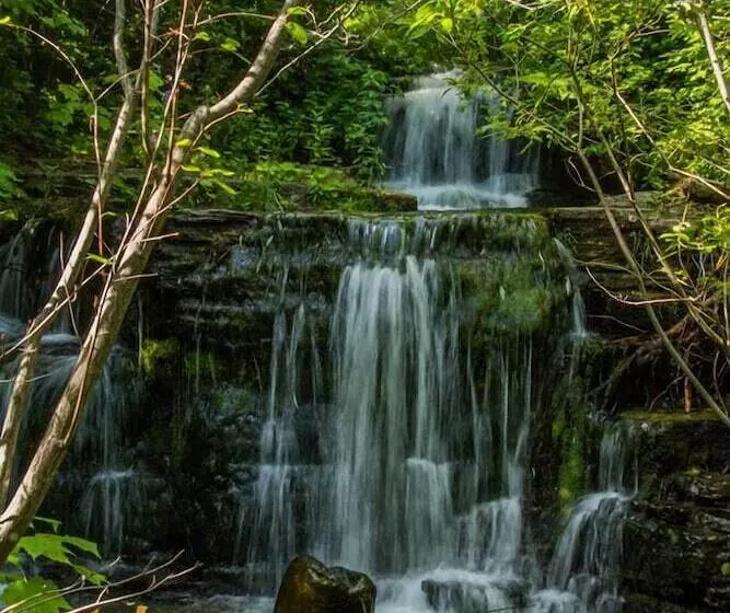 Auberge Le Four à Pain