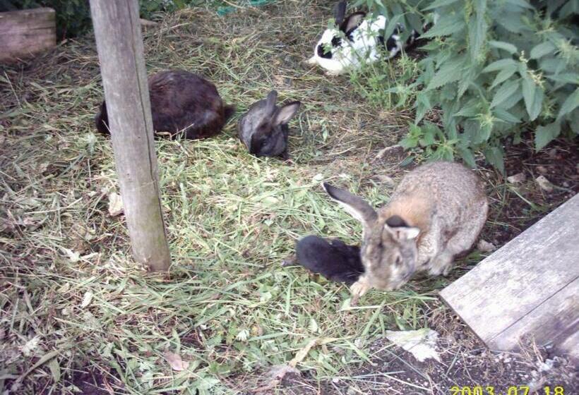 Общежитие Gasthof Koglerhof