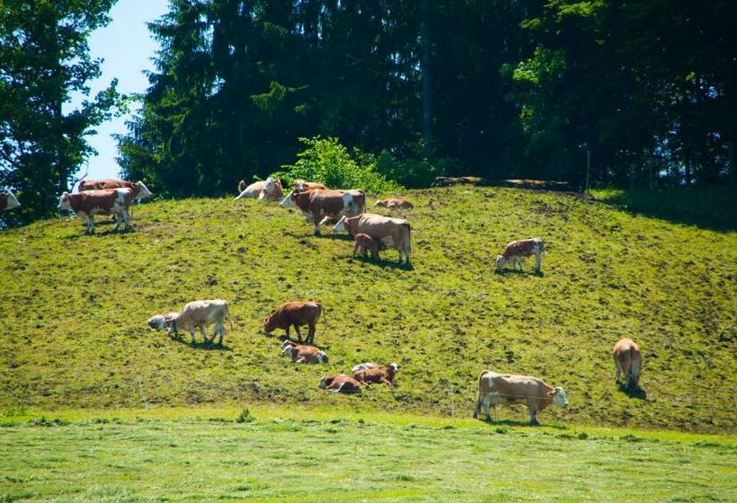 Общежитие Gasthof Koglerhof