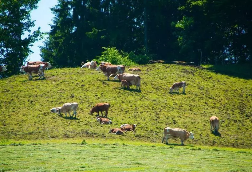 ユースホステル Gasthof Koglerhof