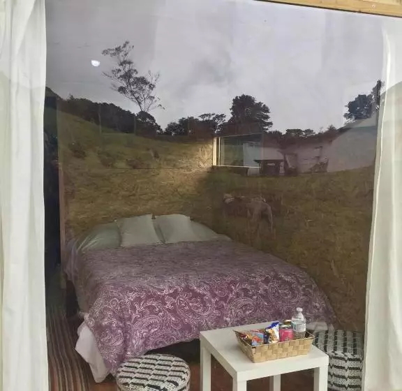 Aamiaismajoitus (B&B) Hobu Montaña