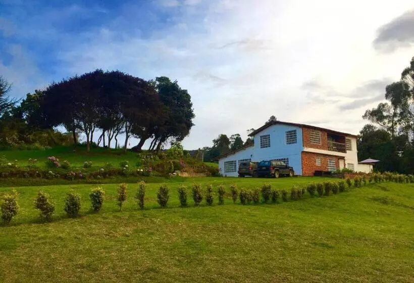 Aamiaismajoitus (B&B) Hobu Montaña