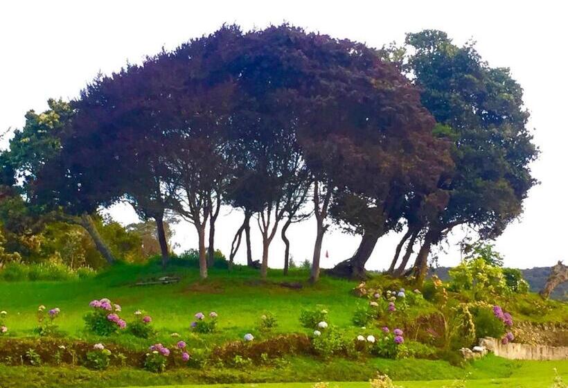 مبيت وإفطار Hobu Montaña