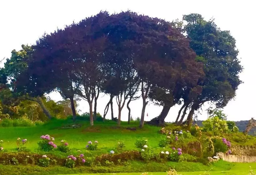 Aamiaismajoitus (B&B) Hobu Montaña